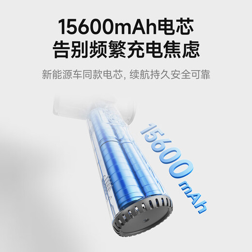 Wu Ke Rechargeable Wireless Hair Dryer Student Dormitory Special Hair Dryer Unplugged Art Entrance Exam USB Lithium Battery Blowing Hot Air High Power Pearl White/15600 mAh Battery Life + 100 Wind Levels + 30,000 RPM