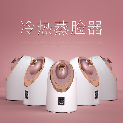 Xulin Germany high-end hot and cold dual spray facial steamer for household facial hydration and beauty instrument nano sprayer facial humidifier hot spray nano facial steamer to hydrate and open pores NV8385 rose gold