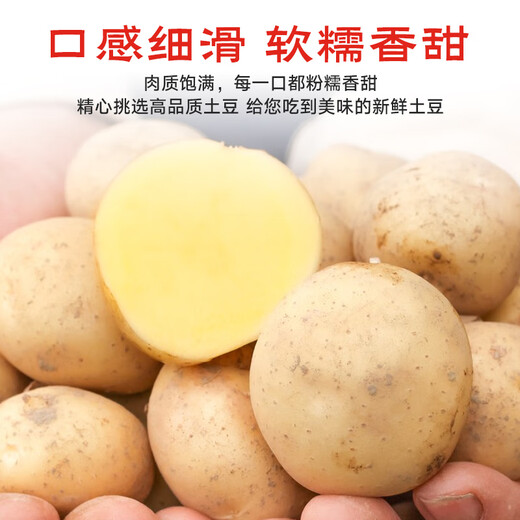Jingxiansheng Enshi small potatoes net weight 4.5Jin Jin equals 0.5kg Single fruit 30-100g Fresh yellow potatoes Straight from the source of potatoes