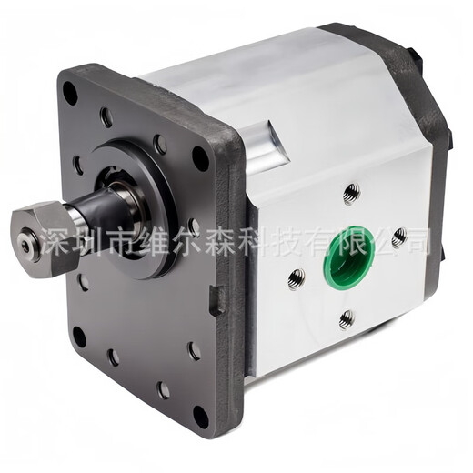 GJXBP Gear Pump 1PLK15054DE10 Roquet
