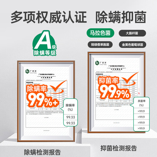 Pointe Pets Dogs and Cats Ear Cleansing Liquid Ear Mites and Ear Canal Care Ear Odor Itching Otitis Infection Ear Drops Er Bonus Ear Cleansing Liquid + Honeysuckle Eye Wash (Eye and Ear Cleaning)