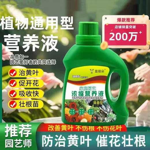 Nutrient solution plant universal flower fertilizer fortune tree rich bamboo green dill hydroponic potted household flower fertilizer universal nutrient solution 500g 2 bottles