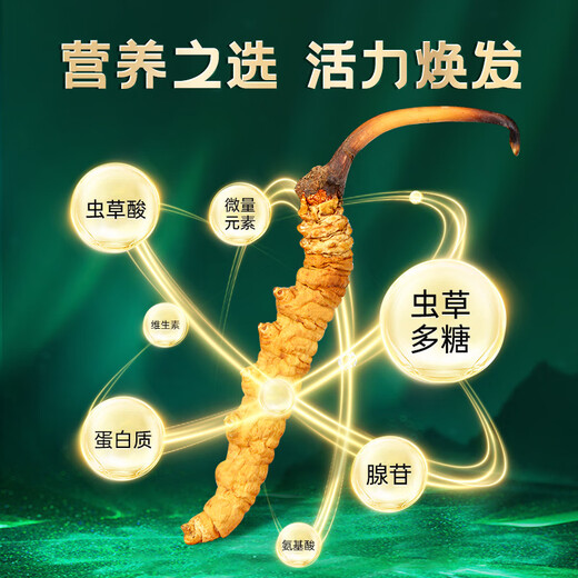 藏幽正宗冬虫夏草礼盒装滋补品头期干虫草送长辈父母领导营养品礼物 【自用 送礼】4根/克-20克-80根【性价比款】