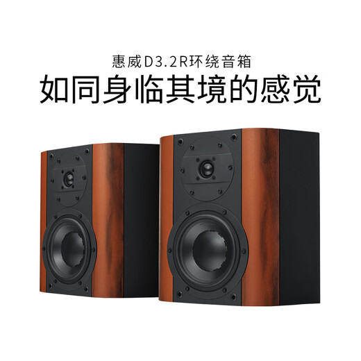 惠威（HiVi）D3.2MKIIIHT+天龙X1600功放 家庭影院音响套装5.1声道木质落地式客厅电视音箱