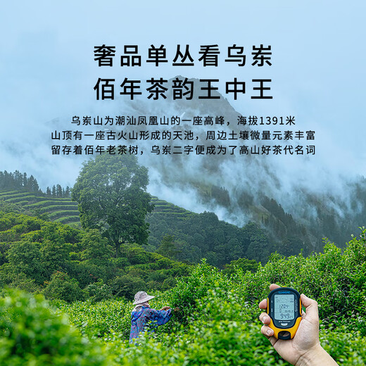 第王乌岽鸭屎香14克潮汕茶叶凤凰单枞茶高山乌龙茶特级单丛茶叶品鉴装 乌岽东方红14g*1盒 14g