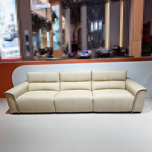 European sofa living room modern simple light luxury technology fabric sofa combination straight-row sofa size apartment for home use 9866#3.1 meters [ecological leather]