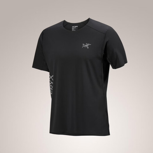 Archaeoptera Bird (Arc'teryx) Archaeoptera Bird Norvan Downword Logo SS Camiseta de manga corta Men 9720 [ADD/858] Forraje/Tatsu Misty Green S