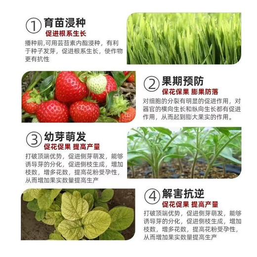 Phytozolin 28 high brassinolide yuntaisu lactone wheat seedling strengthening agent to promote growth and root plant growth regulator 100g