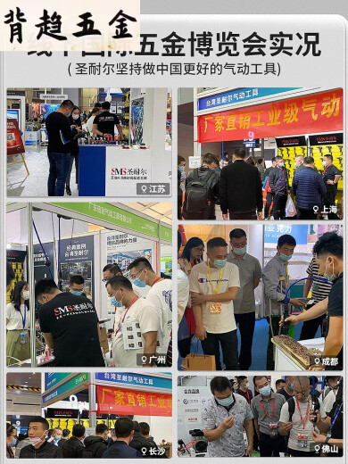 文枝圣耐尔气动打磨机风磨笔气磨工业级小型气动打磨抛光雕刻工具 旗舰版S-6636大扭力打磨套餐 送 旗舰版S-6636大扭力打磨套餐送6