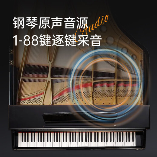 贝多辰88重锤键电钢琴成人儿童电子钢琴初学者入门家用专业十级考级 旗舰级+88重锤键+3踏 标配+礼包+U架