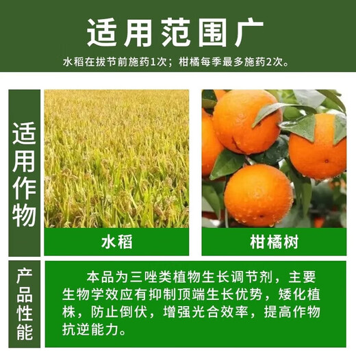 Jianpai 10% Uniconazole pesticide, citrus and lychee shoot control flower promoter, control shoot growth, control pepper harvest old drug Uniconazole 10g*5 bags