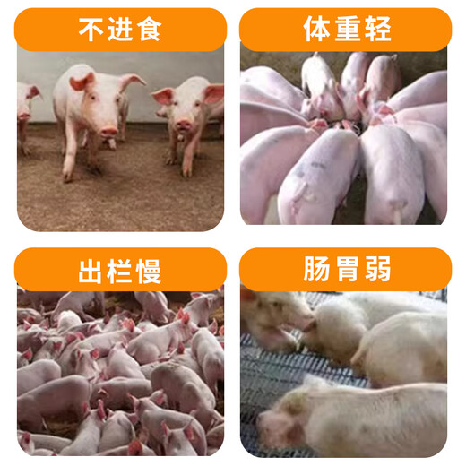 Bantewang pig day length substitutes premixed fattening and weight gain king mixed feed additives to fatten pigs and promote growth. One bag __ 2.5 kg