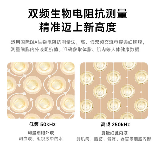 Yunkangbao интеллектуальная жировая масштаба Wi -Fi + Bluetooth Connection Здоровый электронный масштаб тела жировой масштаб веса масштабная шкала жировой масштаб Точное использование Мини Большой шкала жирового тела [модель Bluetooth]]