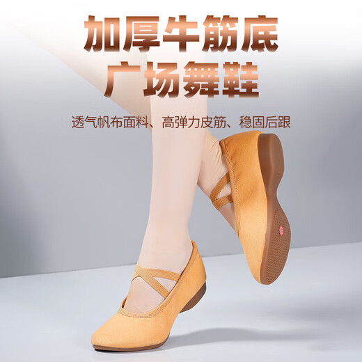 Square dance teacher shoes outdoor adult soft sole women's belly classical ethnic modern dance practice ballet dance shoes black 2cm flat heel 37