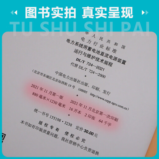 【按需印刷】DL/T 724-2021 电力系统用蓄电池直流电源装置运行与维护技术规程（代替DL/T 724-2000）