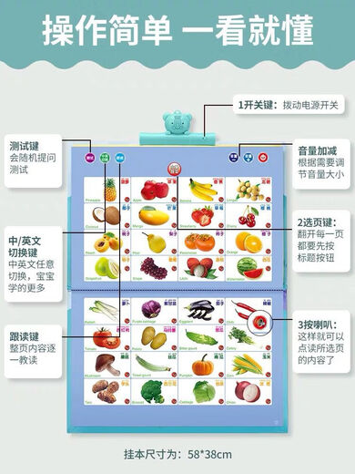 智慧鱼儿童中英文电子点读书早教书幼儿有声读物宝宝学习机点读笔发声书 汉语拼音点读书-充电款