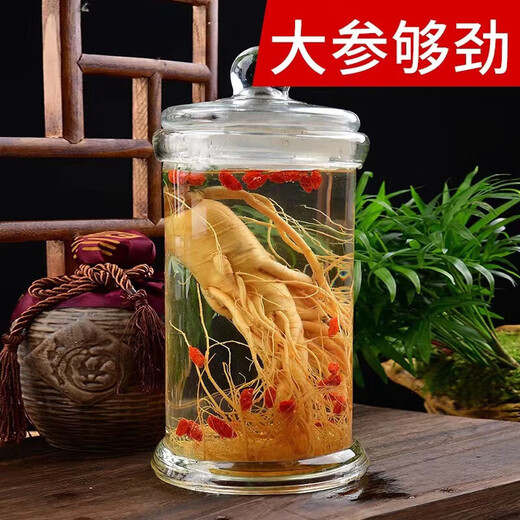 Changbaishan ginseng small fresh ginseng single branch wine soaked fresh ginseng supplement 6-10 grams of soup and wine ingredients Rich in ginseng saponin A