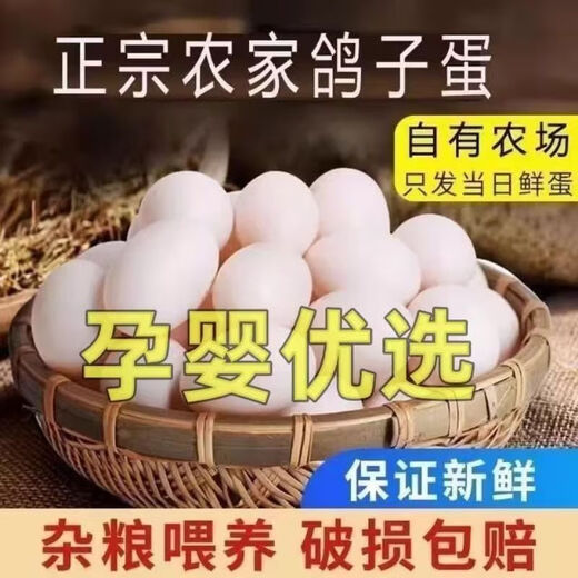 Authentic farm-raised fresh free-range pigeon eggs, now picked up and found, supplementary food for pregnant women and babies, farm-raised grain-fed pigeon eggs, 20 pieces