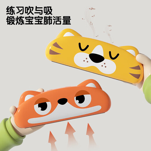 昙蓓漫儿童口琴玩具吹奏乐器锻炼气息易学口风琴3岁吹口琴学习零基础 吹奏口琴【浣熊】