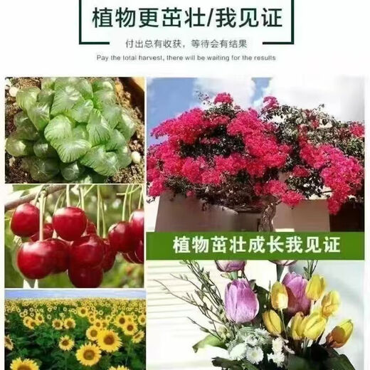 5 Jin Jin is equal to 0.5 kilograms of potassium dihydrogen phosphate foliar fertilizer genuine potassium dihydrogen phosphate official store agricultural fertilizer tree vegetable flower fertilizer 10 Jin Jin is equal to 0.5 kilograms in barrels