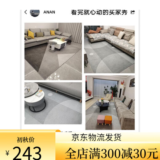 Suye Carpet Living Room 2024 New Light Luxury Sofa Floor Mat Free Washable Wipe Room Bedroom Home Coffee Table Blanket Thick Modern 15601 240*300cm Customized Model No Return or Replacement