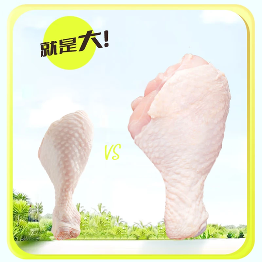 Fresh Antibiotic-Free Pipa Legs Net Weight 6Jin Jin is equal to 0.5kg Antibiotic-Free Chicken Thighs Grilled Chicken Legs Fried Chicken Legs Halal Food New Year’s Festival