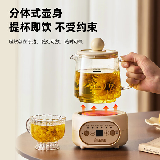 Small pumpkin health pot multifunctional fully automatic tea maker mini household kettle electric kettle thermostatic kettle teapot home appliance teapot water boiler decocting medicine kettle kettle glass kettle top version with filter + coaster + spoon 0.5L