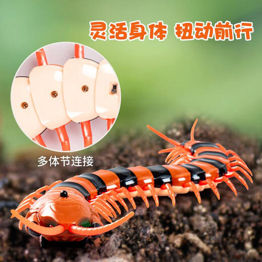 Chisen Children's Decompression Artifact Toy Simulation Remote Control Centipede Snake Little Boy Girl 5 Internet Celebrity Douyin Black Technology Animal 2 Classic Version - Remote Control Ladybug Red Model 9922+ Screws Official Standard