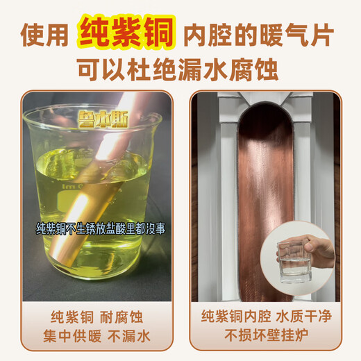 鲁本斯铜铝水暖气片家用散热器换热器全屋客厅卧室壁挂式取暖器 达芬奇15270- 650mm*1柱