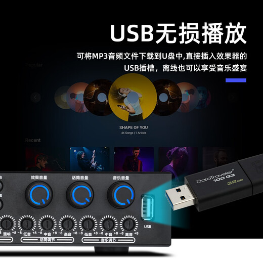 ZUU new front-end effector professional karaoke home karaoke balanced vocal front karaoke audio simulation advanced singing speaker equipment ktv K160 front-end effector double-headed lotus line