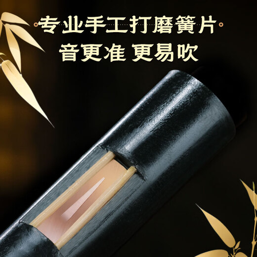 Golden Peacock Hulu Silk C-Tune Special B-Tune für Grundschüler für Anfänger und Erwachsene Aufnahme professioneller Performance Brand-Flaggschiff-Laden Redwood Pipe Double Peacock [Standard C-Tune] + Geschenk