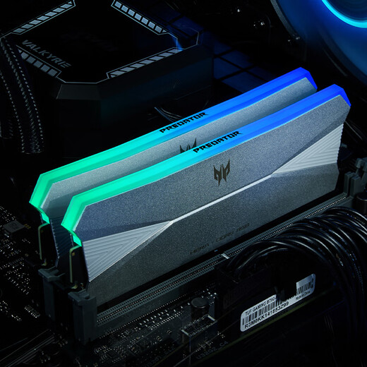 宏碁掠夺者（PREDATOR）【凌霜PALLAS】马甲条 DDR4 DDR5 台式机内存条 684 Pallas II-96G-6000-CL
