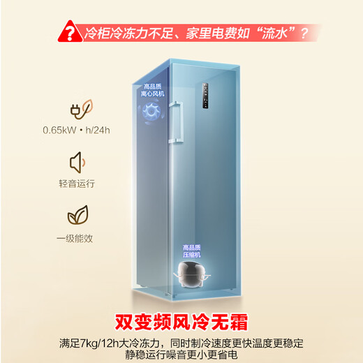 Ronshen 240L vertical home freezer IDP active sterilization rapid odor purification dual frequency conversion air-cooled frost-free computer precise control energy-saving smart vertical cabinet BD-240WPRSY national subsidy