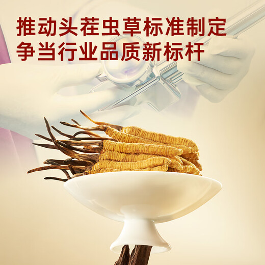 Ayishe Cordyceps sinensis aproximadamente 2-3 raíces/G10g Aproximadamente 32 raíces de nuevos suplementos de regalos de Cordyceps secos para productos nutricionales de mediana edad y ancianos