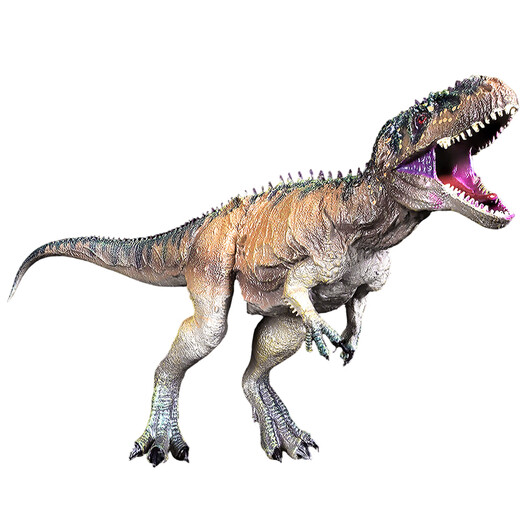 Bameka Tyrannosaurus Rex extra großer solider Dinosaurier -Sammlung Model Spielzeugsimulation World Jurassic Animal Gift