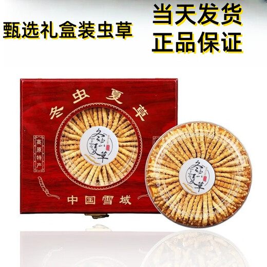 Luzhangtang Cordyceps gift box is packed with authentic Tibetan snow mountain Cordyceps gifts quality guaranteed to ship on the same day. Tibet Naqu fine cordyceps 2 pieces 1 gram 20 pieces