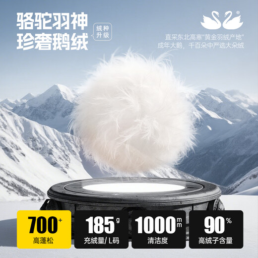 Camel Volcano PRO goose down jacket Dilireba same style men and women winter thickened couple down jacket M35CR07101A