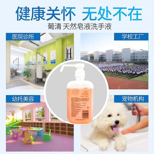 Lircon Puqing natural soap hand sanitizer medical grade household sterilization pregnant women decontamination-free phosphorus hand sanitizer 500ml*2 bottles