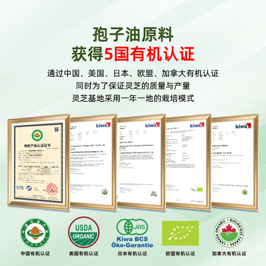 泓寿泓寿牌灵芝孢子油软胶囊精华油龙泉破壁灵芝孢子粉萃取 【半月装】1盒60粒