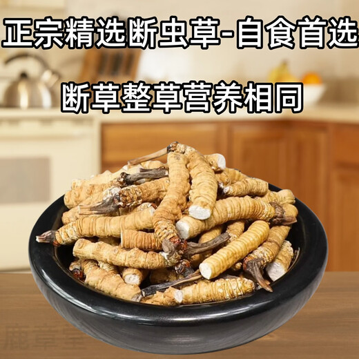 正品虫草冬虫夏草大断草高海拔断虫草2025头茬新自用大号断虫草 那曲高海拔断虫草20克装