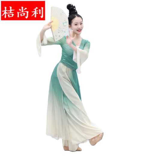 Ju Shangli Singyun Gradient Performance Kleidung Tanz Golden Gourd Rock Repertory Dance Klassischer Tanz Flirtanzug Kleid Kleid -Hose Gradient Tanzschuhe M 130c: 4858jin [Jin entspricht 0,5 kg]