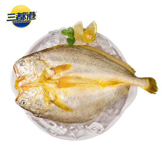 Sandu Port Frozen Yellow Croaker 1Jin Jin is equal to 0.5kg 1 Sandu Yellow Croaker Large Yellow Croaker Fresh Fish Seafood New Year's Goods