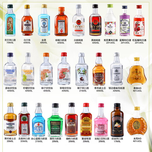 Martin Bucks Buffet Basis Weinset kleiner Flaschen Convenience Store Alkohol Whisky Wodka kleine Flasche leicht betrunkenes Feen leicht betrunkenes Spiel [50 ml*6 Stück]