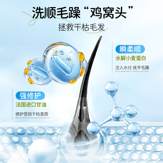 Masata Singapore imported youth shampoo oil control fluffy anti-dandruff anti-itch shampoo children adults men and women