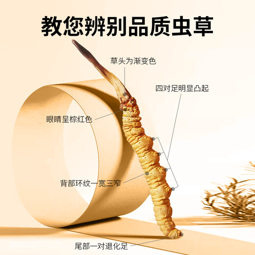 同芙 冬虫夏草3根/g 5g 15根礼盒装 滋补营养补品送长辈礼品礼物