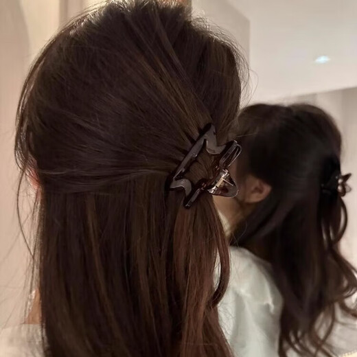Brown star transparent clip, fresh half-tied hair clip at the back of the head, women's new shark clip hair accessory, high-end champagne five-pointed star clip