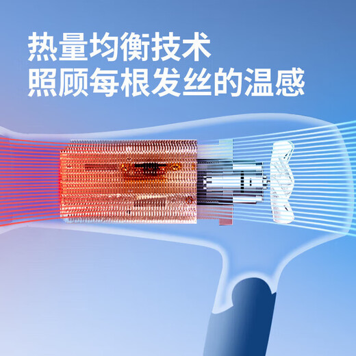 FLYCO hair dryer household hair dryer portable high-power quick-drying hair dryer constant temperature hair care does not damage hair in strong winds FLYCO Borui 2000W high power PH1626