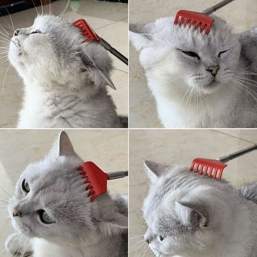 Cat Scratching Toy Telescopic Itch Scratching Massage Interactive Cat Comb Dog Itch Relief Grooming Pet Cat Lugging Toy Retractable No Harm to Skin Durable Red