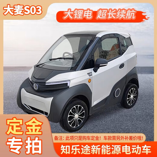 Xiangdong high-end Laotoule adult four-wheel electric scooter for women mini small home without a driver's license 2025 new style customized gold (full payment upon arrival for vehicle inspection) 60V