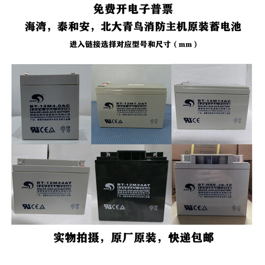MDUG Pinzheng Bay Taihean fire host battery Jade Bird gas fire alarm controller backup battery BT12M1.3AT/12V1.3AH